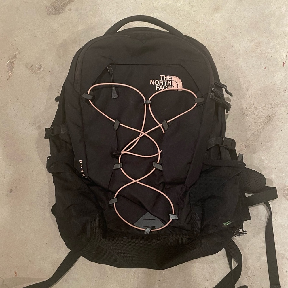 pink and black borealis north face backpack